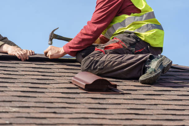 Best Metal Roofing Contractor  in Harlan, IA