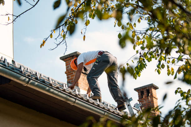 Best Residential Roofing Contractor  in Harlan, IA