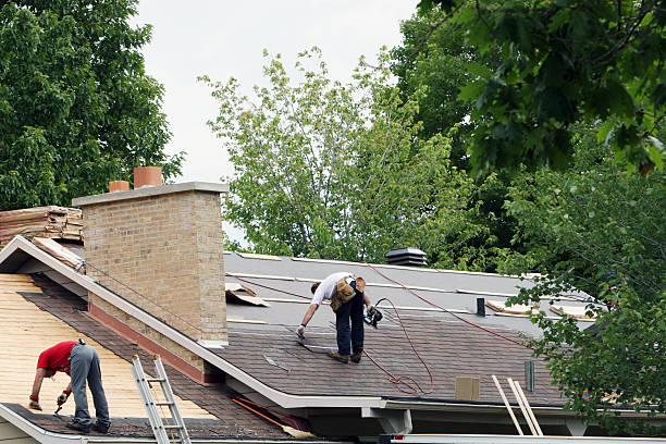 Best Roof Waterproofing Services  in Harlan, IA