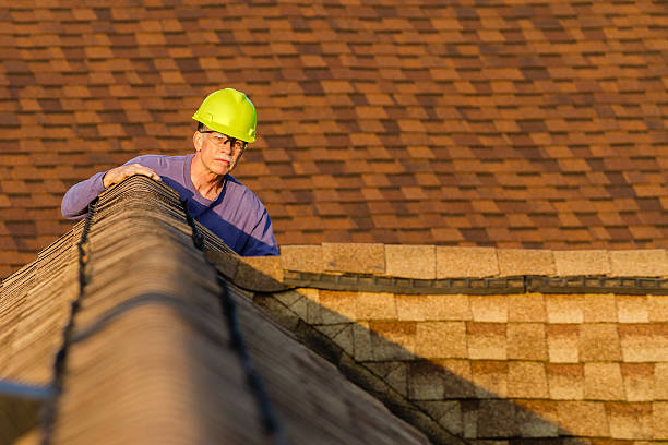 Best Storm Damage Roof Repair  in Harlan, IA